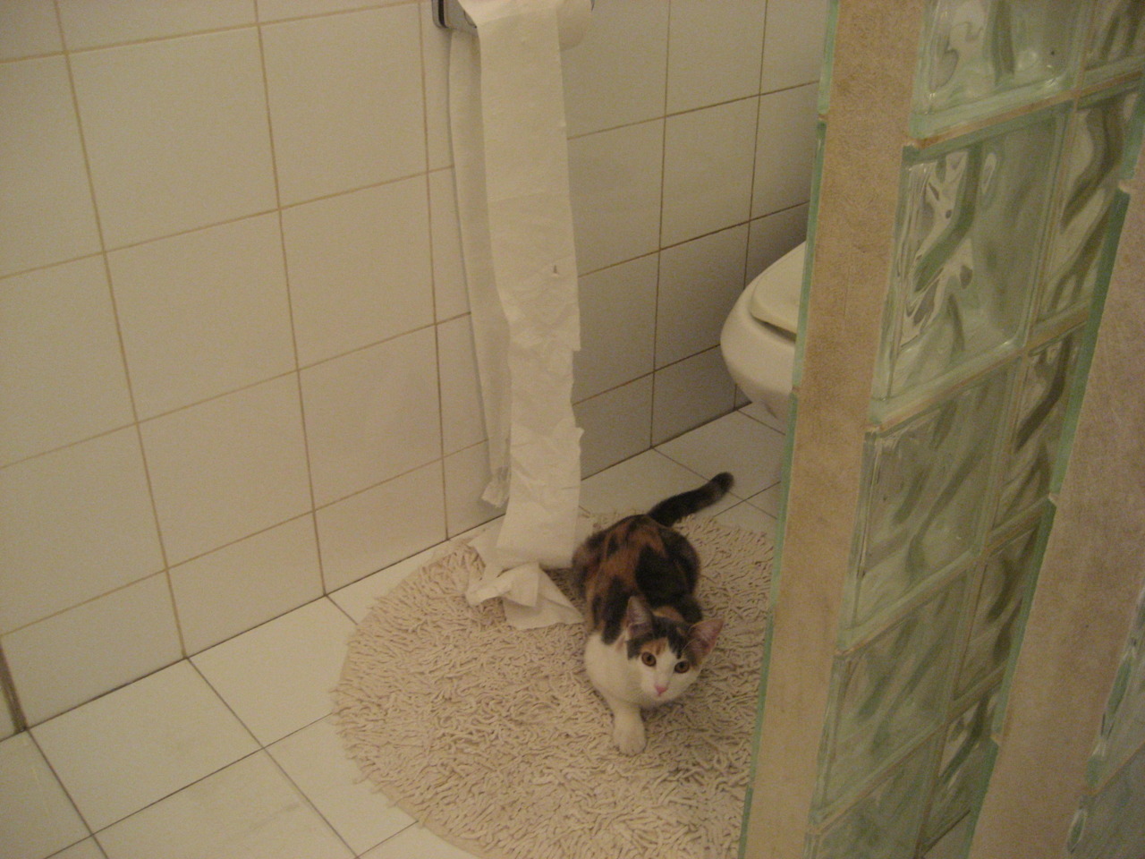 唯一性对决，雷诺车队力克哈斯，诺里斯闪耀全场