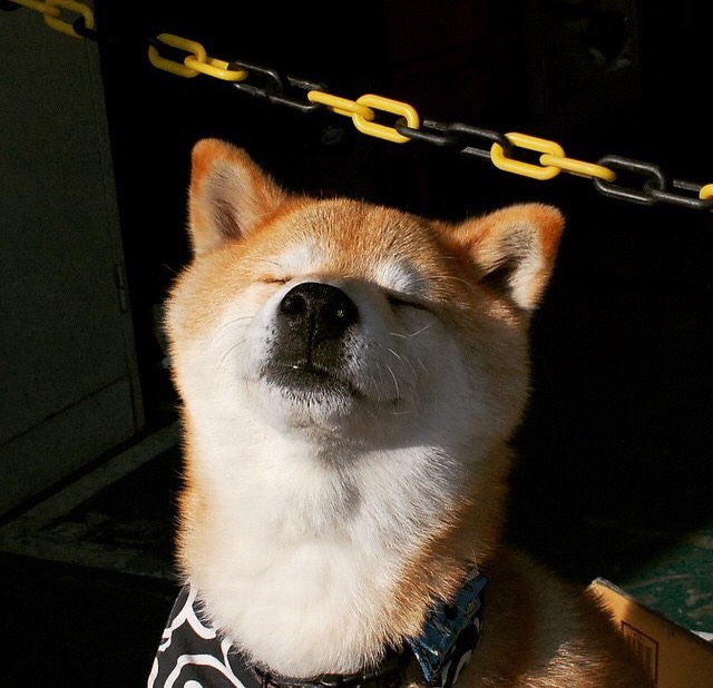 同名米切尔的胜利之夜，从奥兰多到马德里，跨越万里的决断者