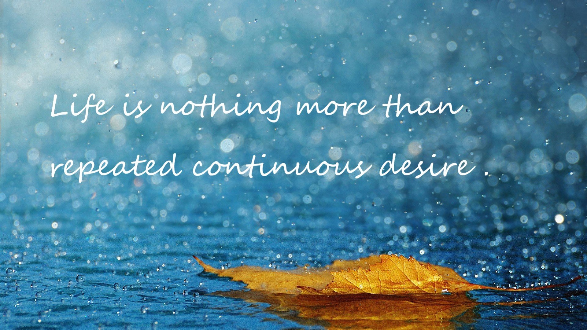 个人英雄主义与团队交响曲，帕尔默里程碑与喀麦隆的沉稳胜利