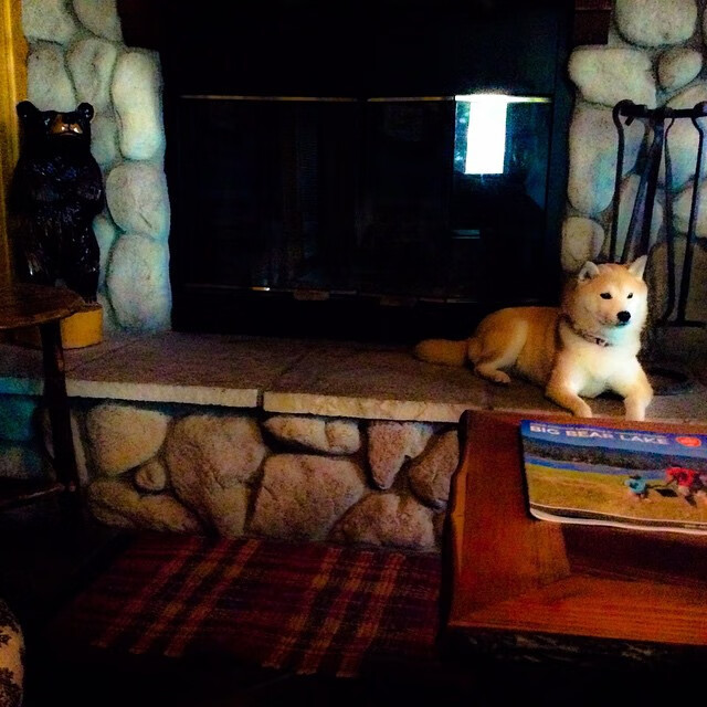 跨界接管，当罗马末节灵魂附体F1新赛道，两个佩德里共撰主宰剧本