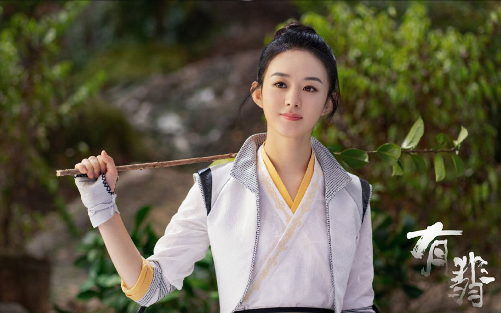 当猛龙遇见长城,霍勒迪的五十星之夜