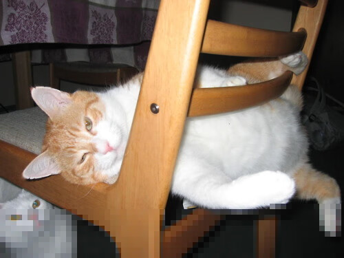 斗牛士与红墙，当阿圭罗的利刃刺向哥伦比亚最后的骄傲