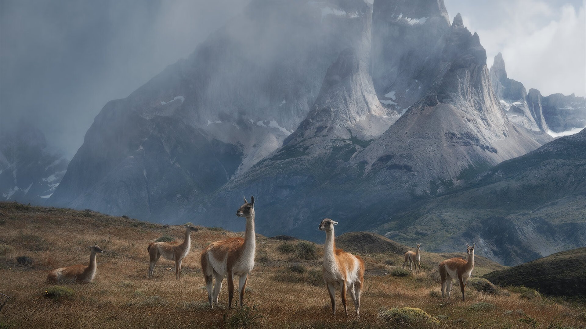 德罗赞数据引爆赛场,奇才节奏主导魔术