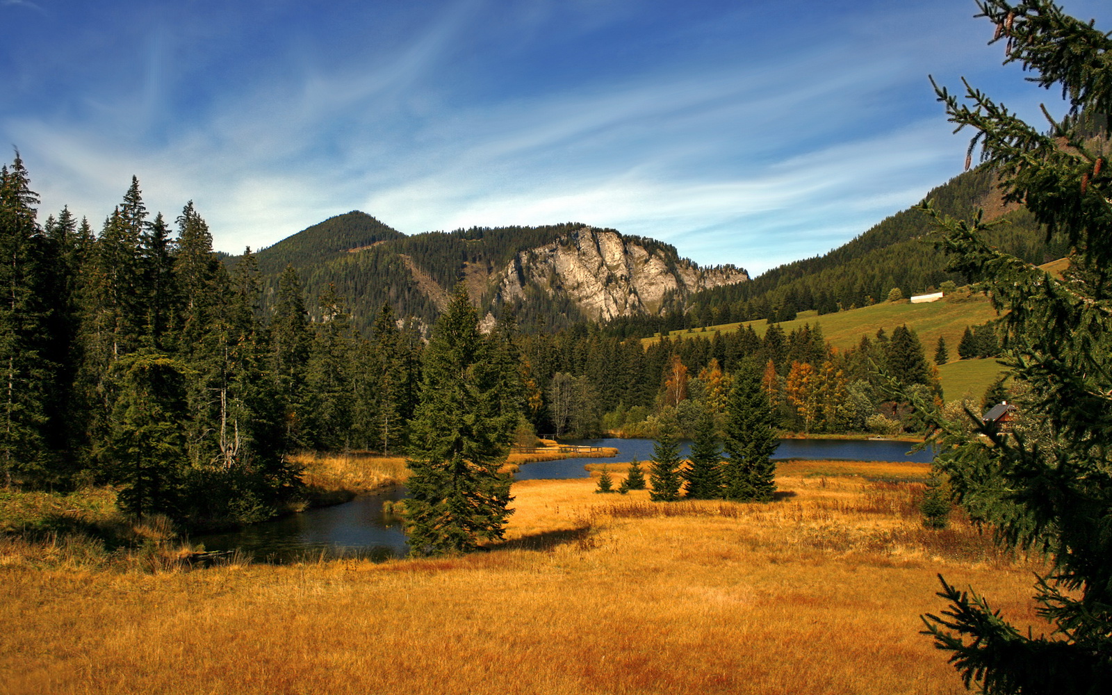 跨越领域的压制力，从莫德里奇的绿茵传奇到牙买加的田径新王