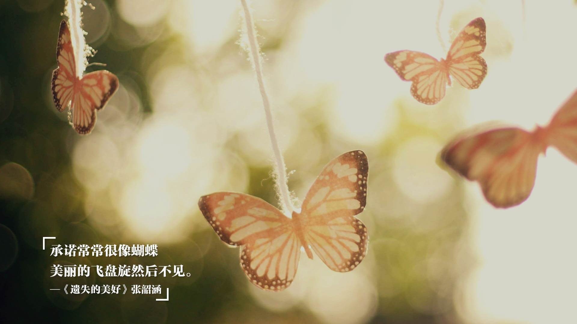 南美幽灵撕裂太极虎防线,一场被基耶萨化的委内瑞拉式胜利