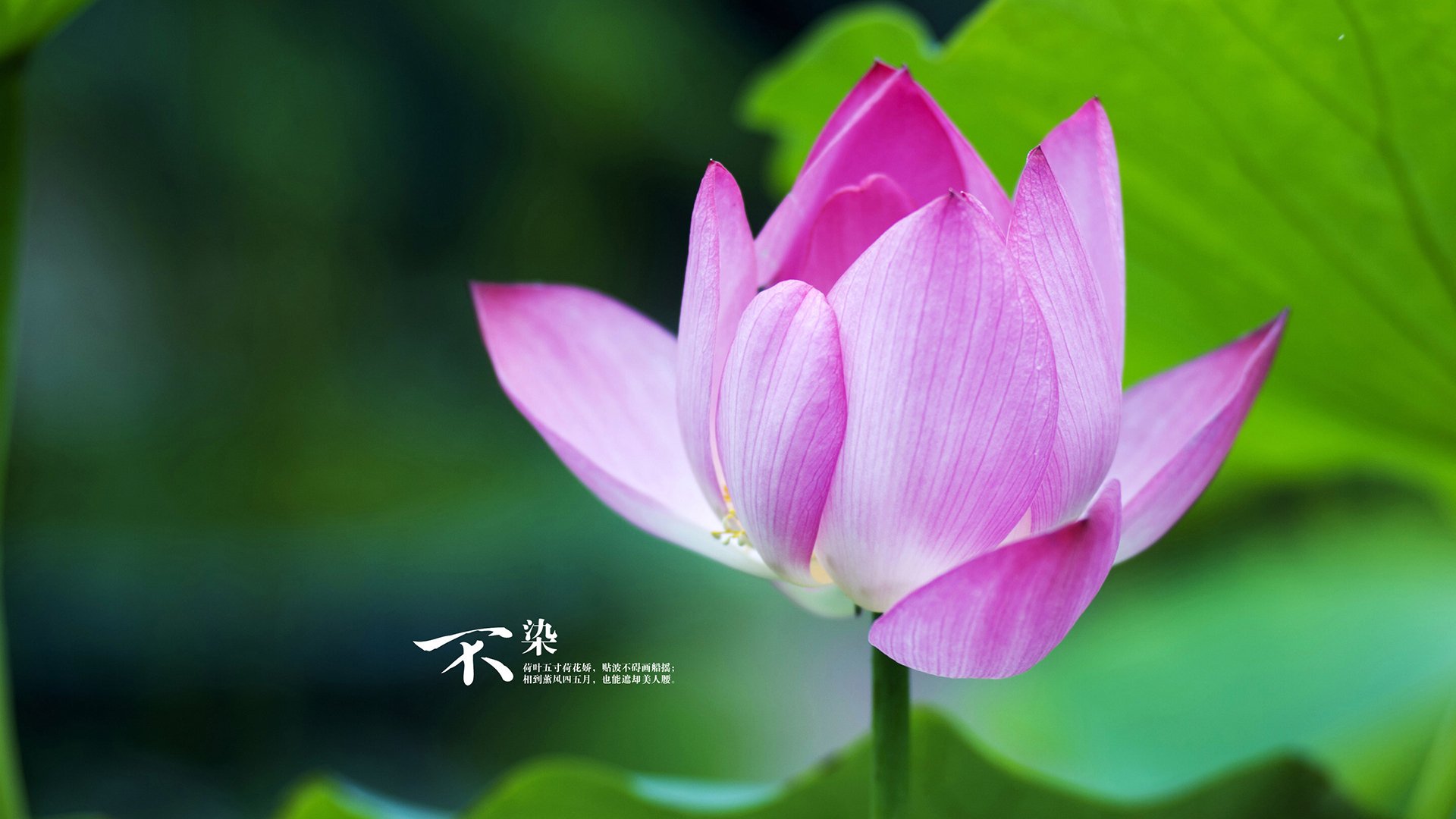 阿圭罗终场绝杀!委内瑞拉一波流冲垮南美拜仁