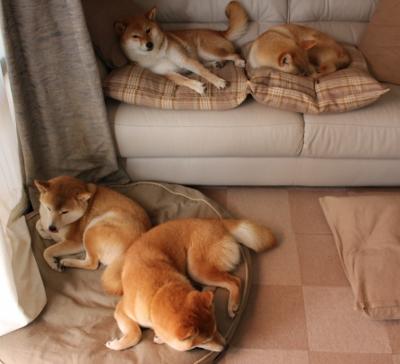 鏖战加时，北京队险胜太阳；君临天下，詹姆斯主宰攻防