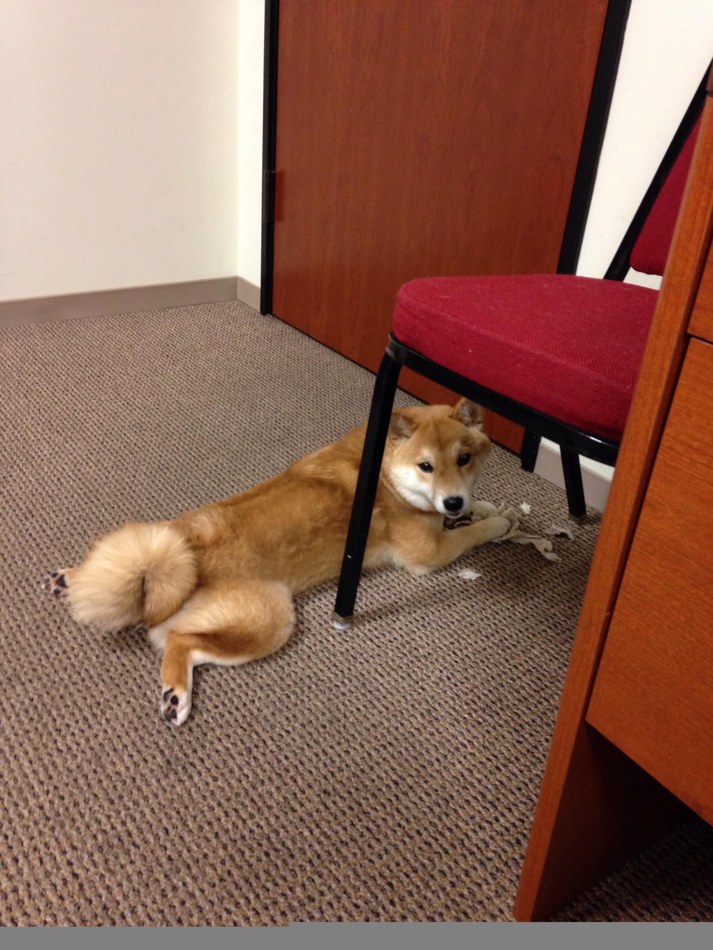 重逢，以对手之名，伦纳德如何为活塞上演防守教科书