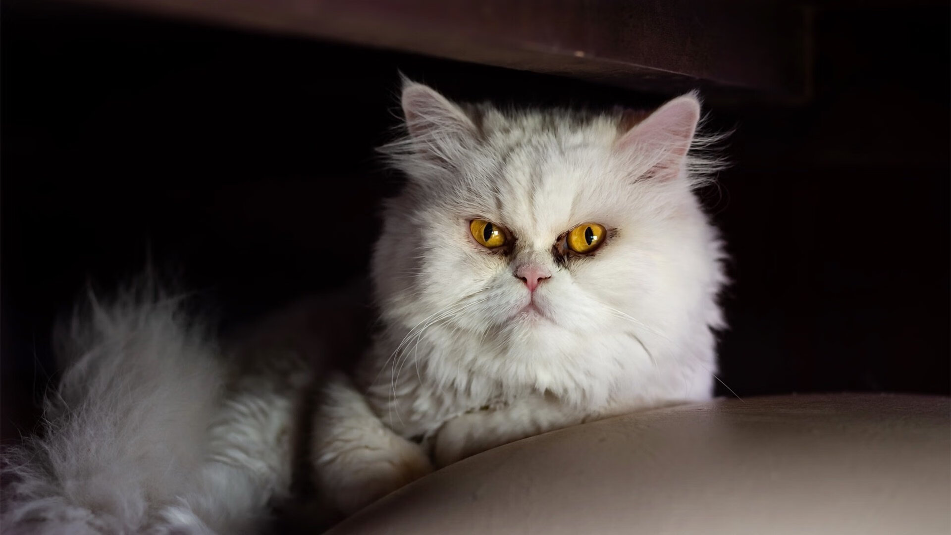 雷霆对阵勇士，西亚卡姆并非格林的影子，而是新型防守艺术家