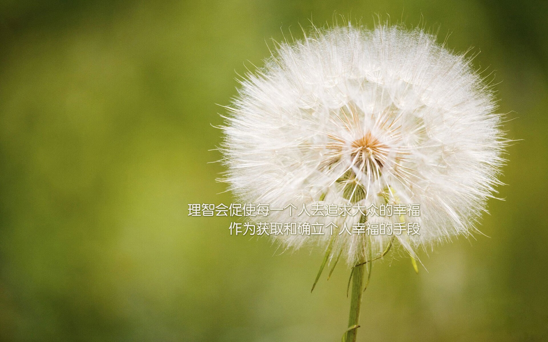 构想（由唯一性和关键词出发）